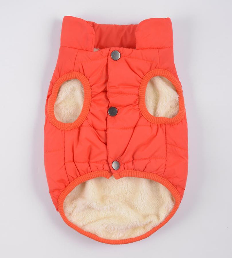 Colete de Inverno para Cães