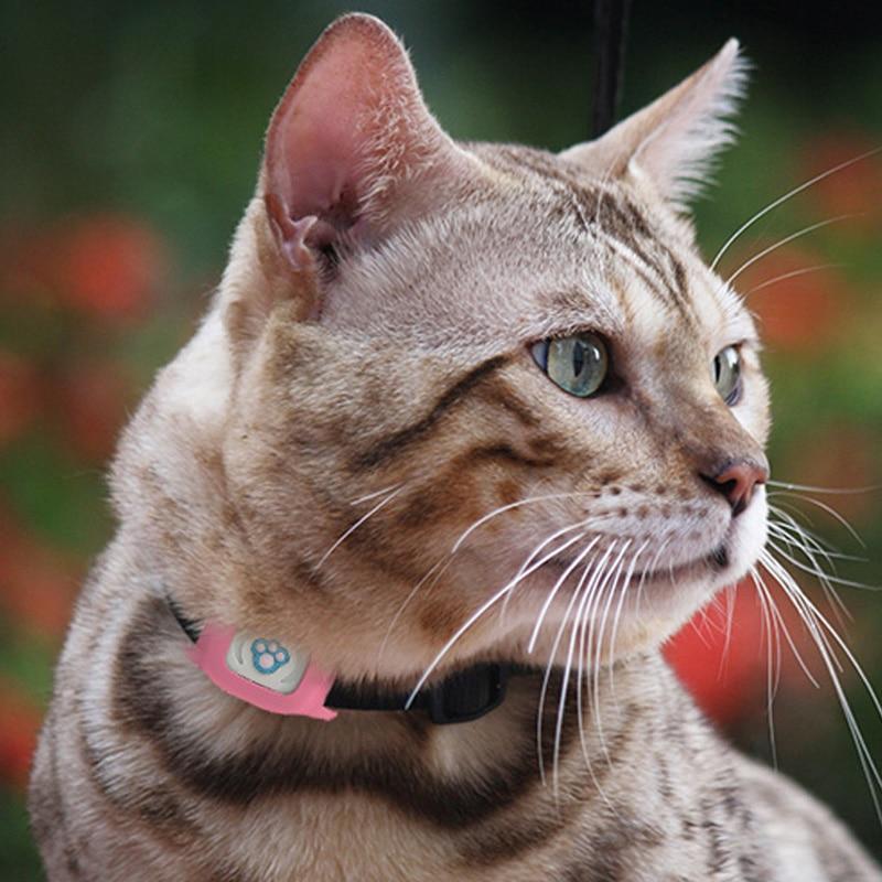Rastreador GPS para Pets FP03