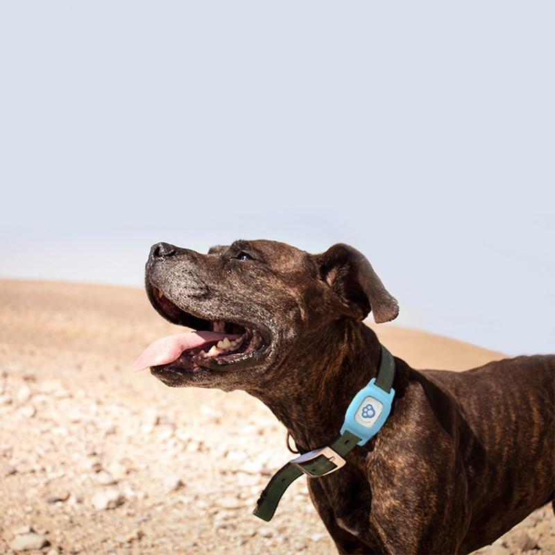 Rastreador GPS para Pets FP03